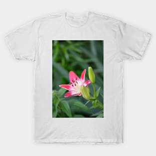 Blooms of Summer T-Shirt